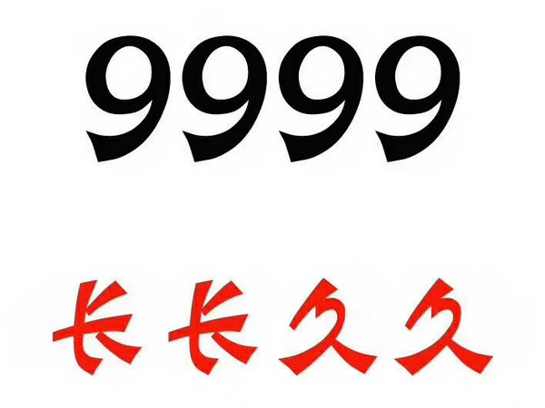 定陶尾號(hào)999吉祥號(hào)